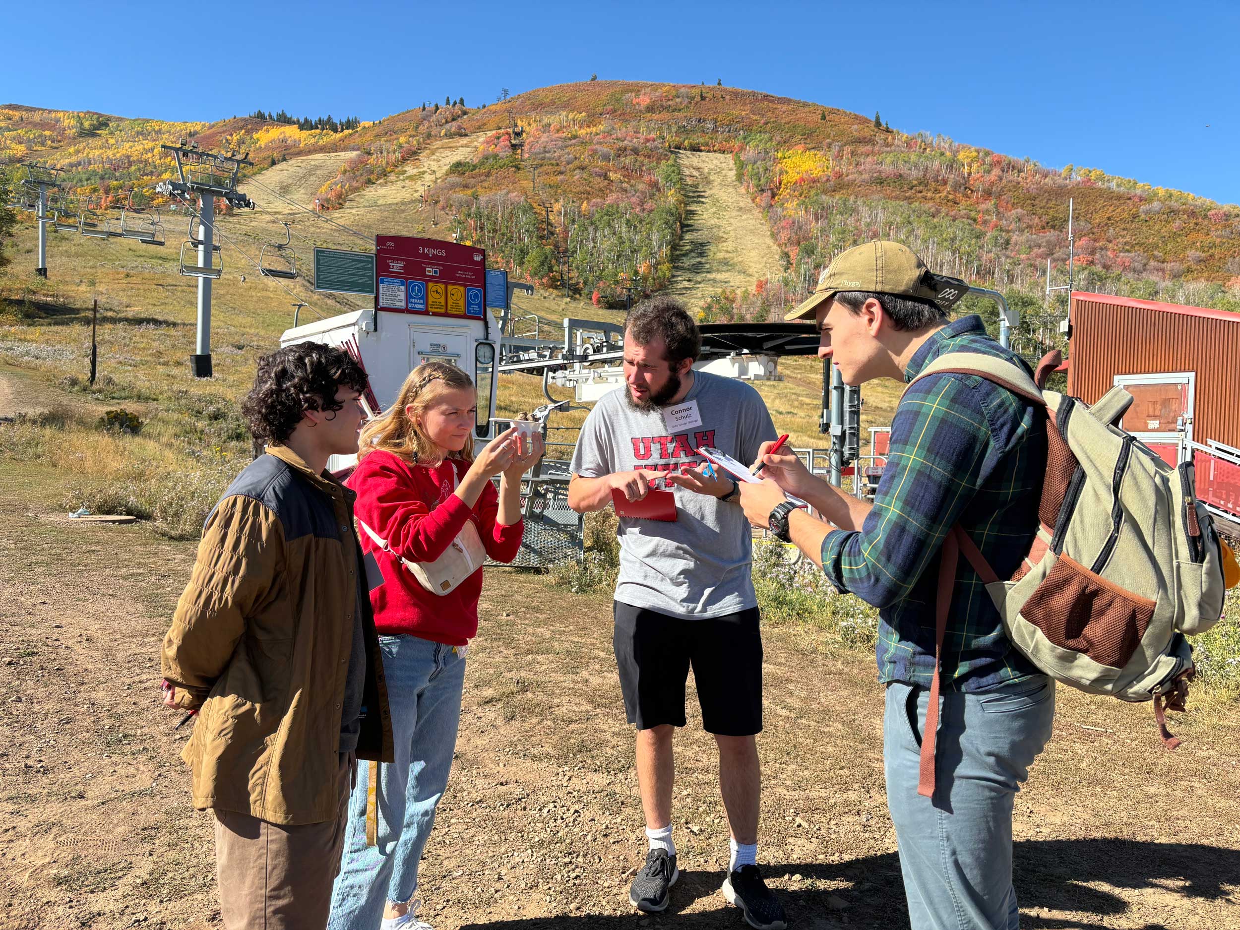 Four people stand outside and talk